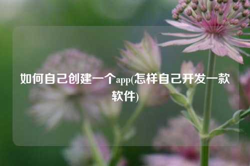 如何自己创建一个app(怎样自己开发一款软件)