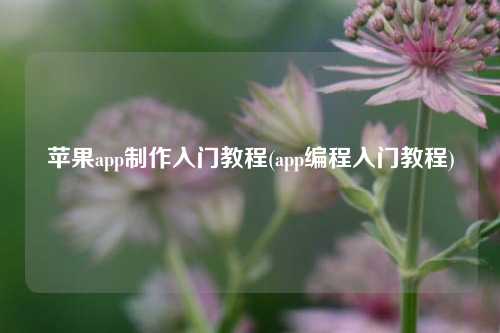 苹果app制作入门教程(app编程入门教程)