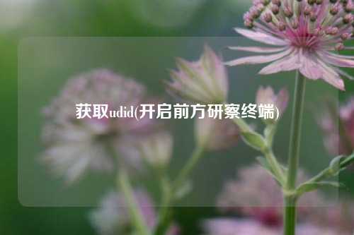 获取udid(开启前方研察终端)