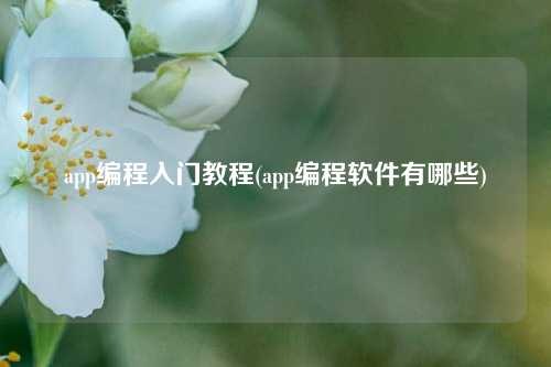 app编程入门教程(app编程软件有哪些)