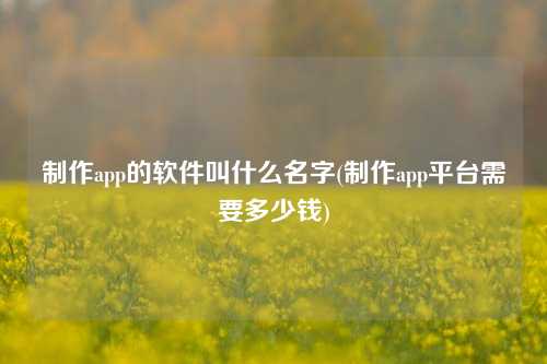 制作app的软件叫什么名字(制作app平台需要多少钱)