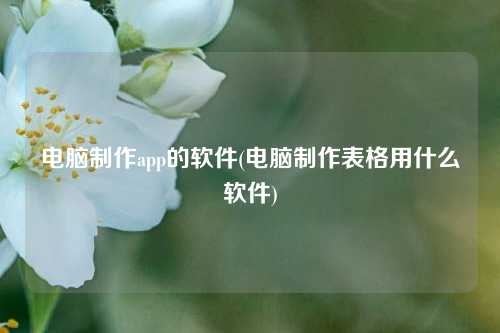 电脑制作app的软件(电脑制作表格用什么软件)