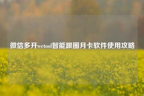 微信多开wetool智能跟圈月卡软件使用攻略