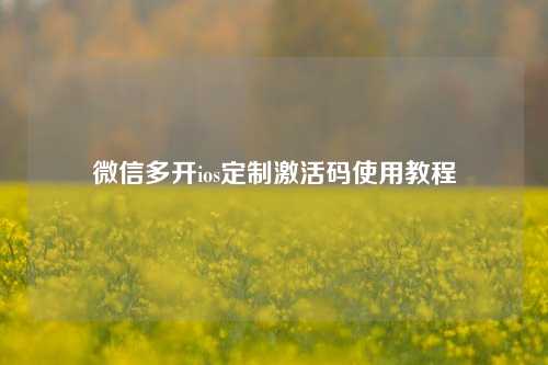 微信多开ios定制激活码使用教程