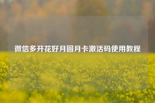 微信多开花好月圆月卡激活码使用教程