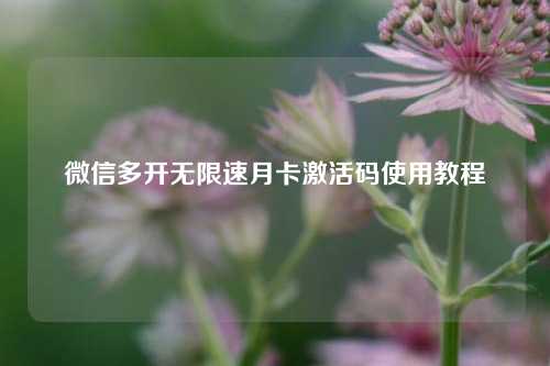 微信多开无限速月卡激活码使用教程