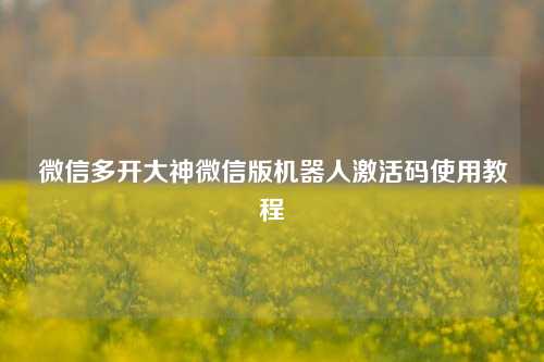 微信多开大神微信版机器人激活码使用教程