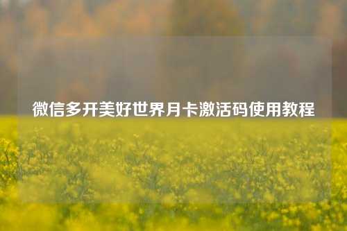 微信多开美好世界月卡激活码使用教程