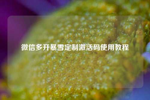 微信多开暴雪定制激活码使用教程