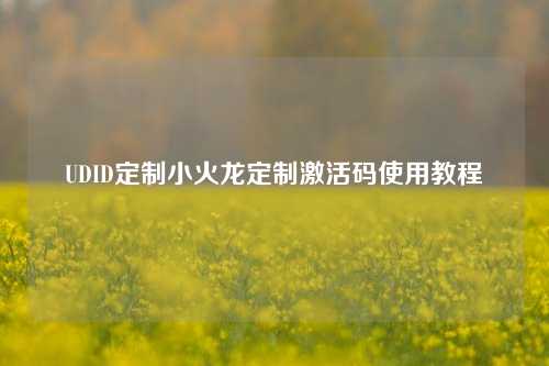 UDID定制小火龙定制激活码使用教程