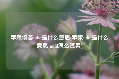 苹果设备udid是什么意思(苹果udid是什么意思 udid怎么查看)