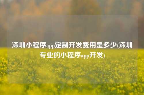 深圳小程序app定制开发费用是多少(深圳专业的小程序app开发)