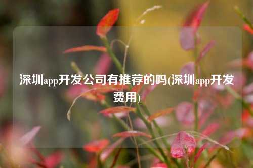 深圳app开发公司有推荐的吗(深圳app开发费用)