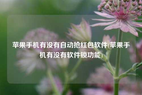 苹果手机有没有自动抢红包软件(苹果手机有没有软件锁功能)