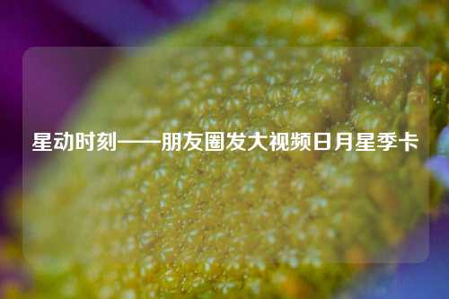 星动时刻——朋友圈发大视频日月星季卡