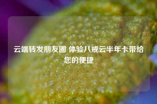 云端转发朋友圈 体验八戒云半年卡带给您的便捷