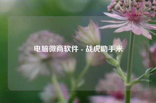 电脑微商软件 - 战虎助手米