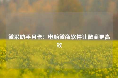 微采助手月卡：电脑微商软件让微商更高效