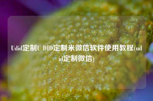 Udid定制U DID定制米微信软件使用教程(udid定制微信)