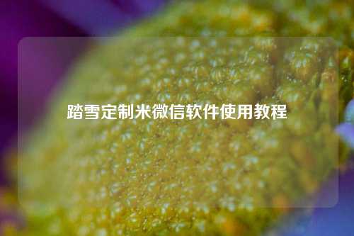 踏雪定制米微信软件使用教程