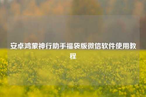 安卓鸿蒙神行助手福袋版微信软件使用教程