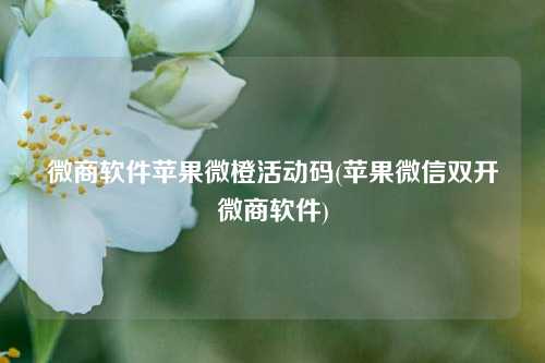 微商软件苹果微橙活动码(苹果微信双开微商软件)