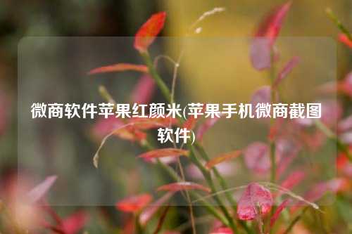 微商软件苹果红颜米(苹果手机微商截图软件)