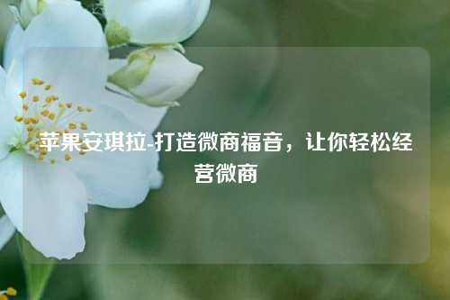 苹果安琪拉-打造微商福音，让你轻松经营微商