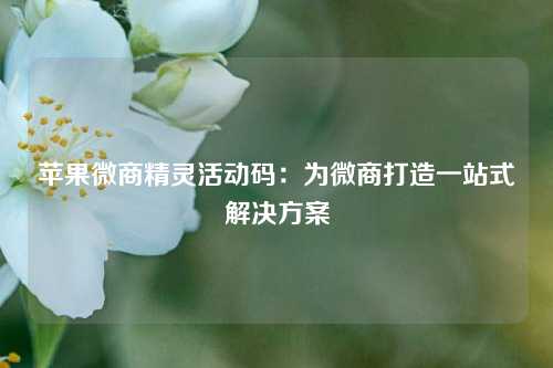 苹果微商精灵活动码：为微商打造一站式解决方案