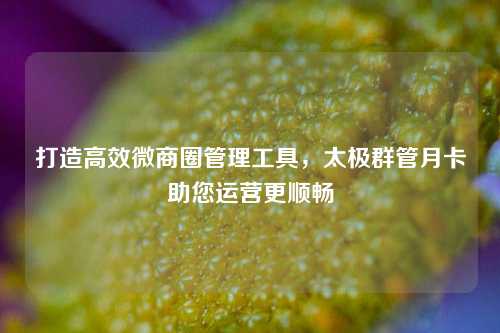 打造高效微商圈管理工具，太极群管月卡助您运营更顺畅