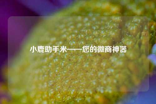 小鹿助手米——您的微商神器