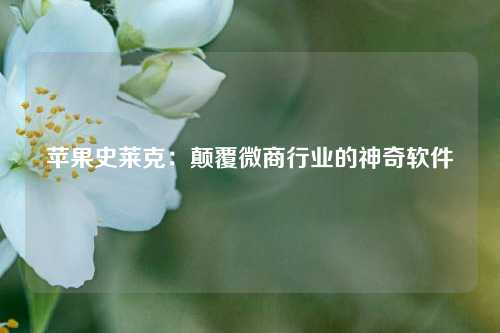 苹果史莱克：颠覆微商行业的神奇软件