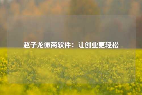 赵子龙微商软件：让创业更轻松