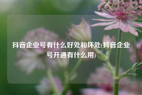 抖音企业号有什么好处和坏处(抖音企业号开通有什么用)