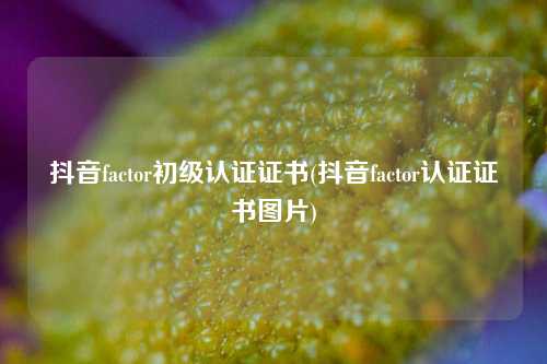 抖音factor初级认证证书(抖音factor认证证书图片)