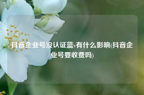 抖音企业号没认证蓝v有什么影响(抖音企业号要收费吗)