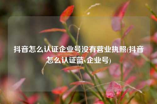 抖音怎么认证企业号没有营业执照(抖音怎么认证蓝v企业号)