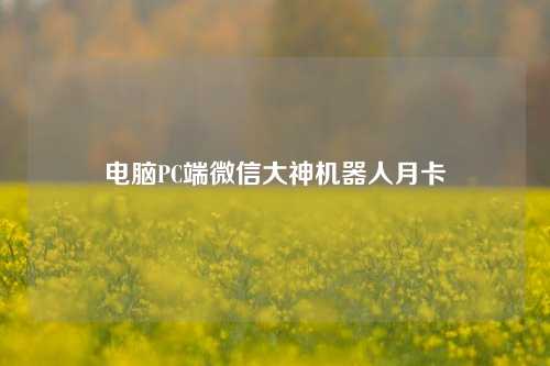 电脑PC端微信大神机器人月卡