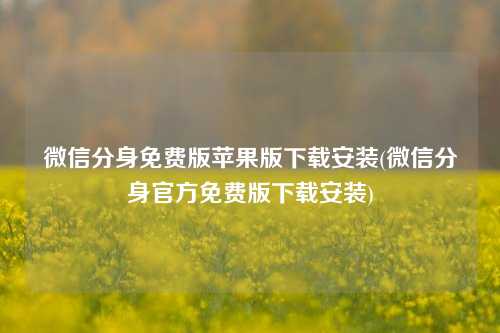 微信分身免费版苹果版下载安装(微信分身官方免费版下载安装)