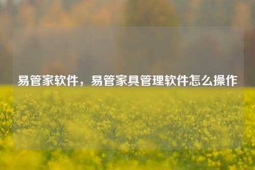 易管家软件，易管家具管理软件怎么操作