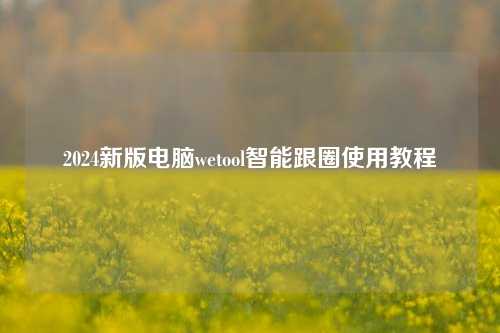 2024新版电脑wetool智能跟圈使用教程