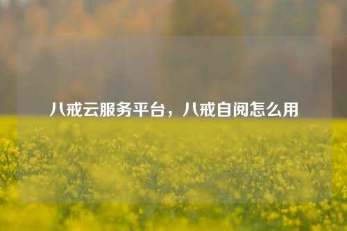 八戒云服务平台，八戒自阅怎么用