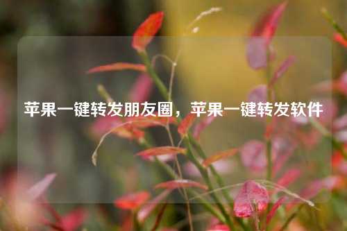 苹果一键转发朋友圈，苹果一键转发软件