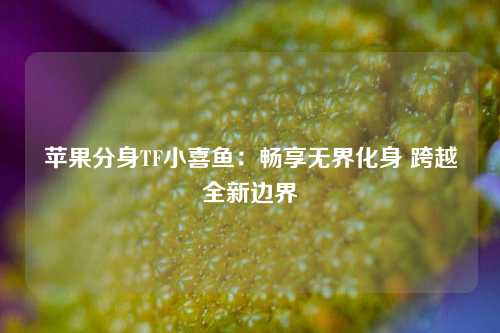 苹果分身TF小喜鱼：畅享无界化身 跨越全新边界