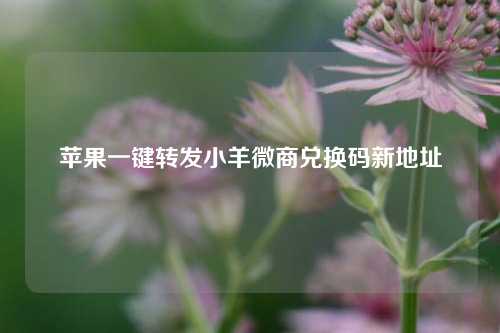 苹果一键转发小羊微商兑换码新地址