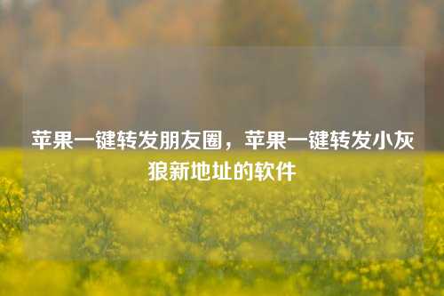 苹果一键转发朋友圈，苹果一键转发小灰狼新地址的软件