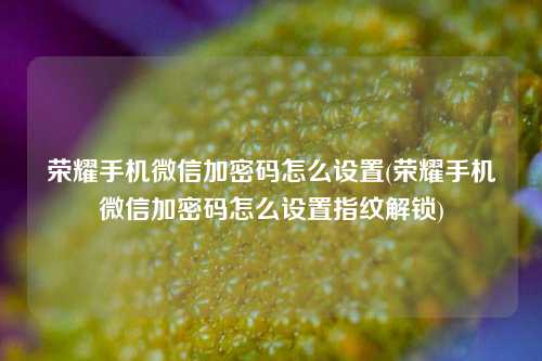 荣耀手机微信加密码怎么设置(荣耀手机微信加密码怎么设置指纹解锁)