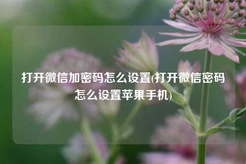 打开微信加密码怎么设置(打开微信密码怎么设置苹果手机)