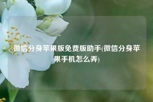 微信分身苹果版免费版助手(微信分身苹果手机怎么弄)