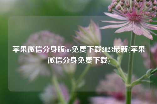 苹果微信分身版ios免费下载2023最新(苹果微信分身免费下载)